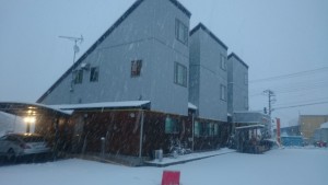 暖冬のはずが・・・