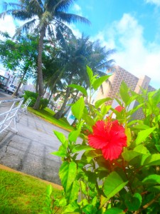 グアム研修旅行２