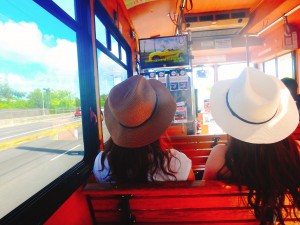 noodle_vongole_04,-1