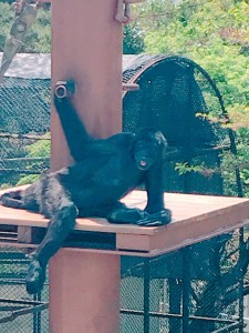 なかよし🤭🌈✨笑